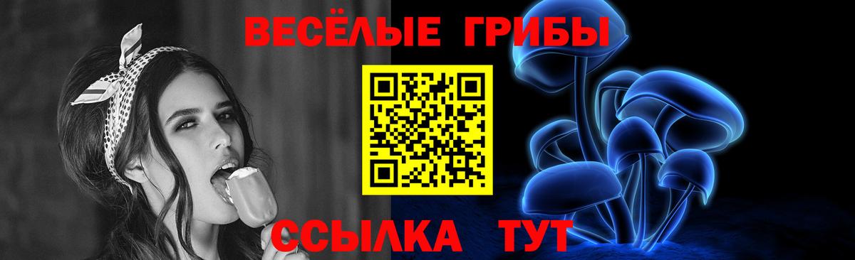 Галлюциногенные грибы Psilocybine cubensis Людиново